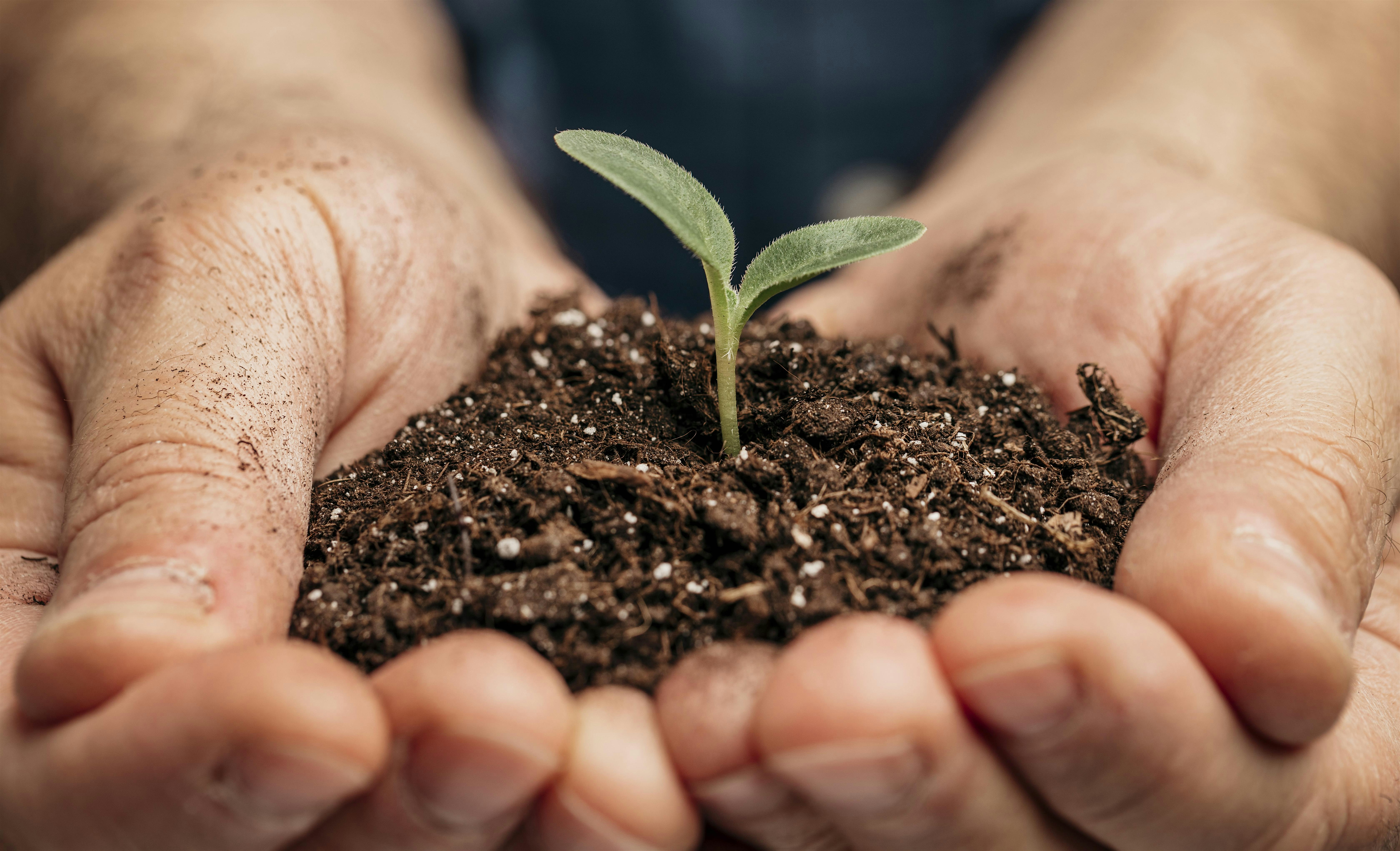 2025 Specialty Crop Production Workshop on Soil Health – Waynesville, NC