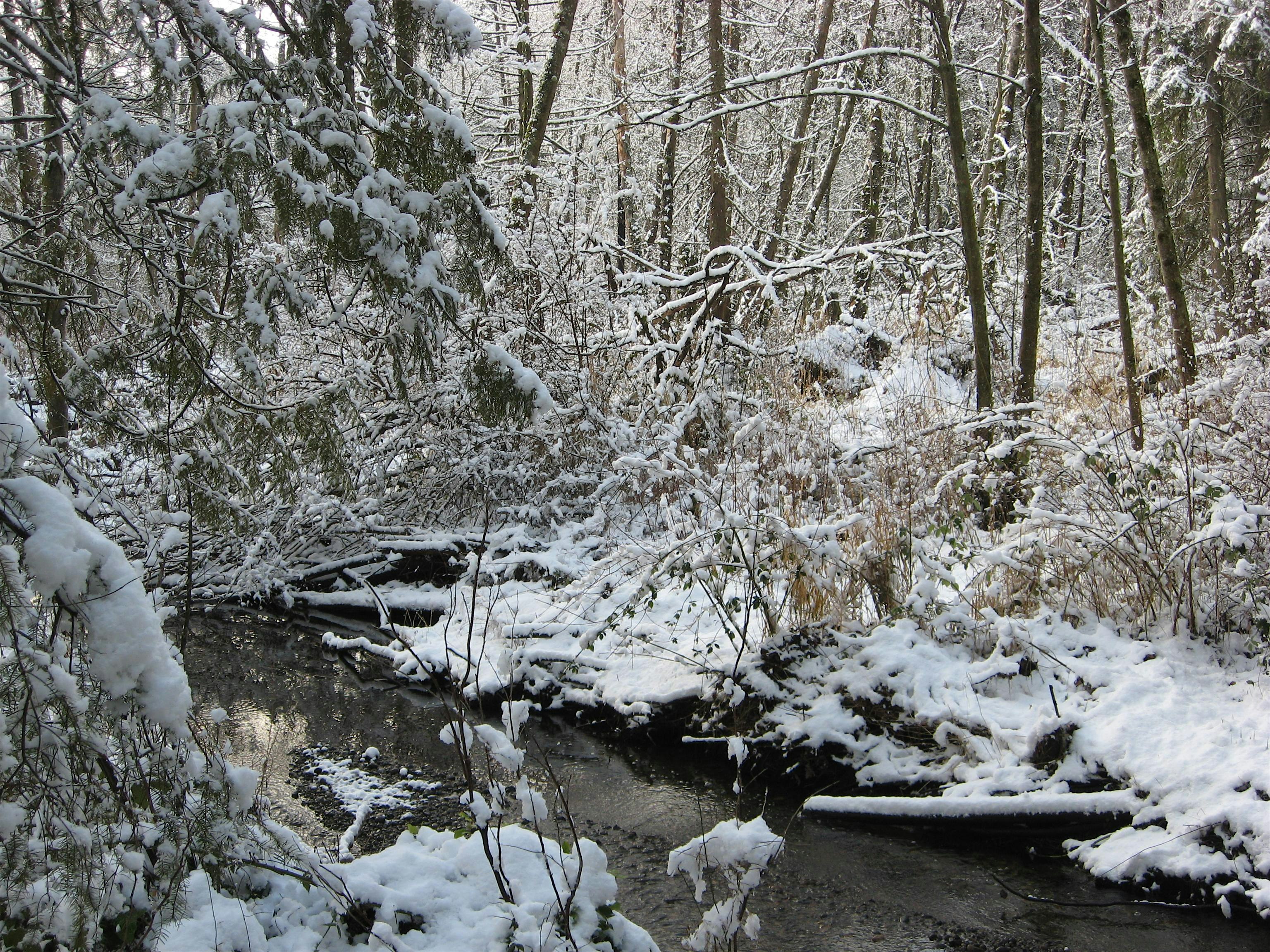 2025 Puget Sound Forest Owners’ Winter School – Auburn, WA