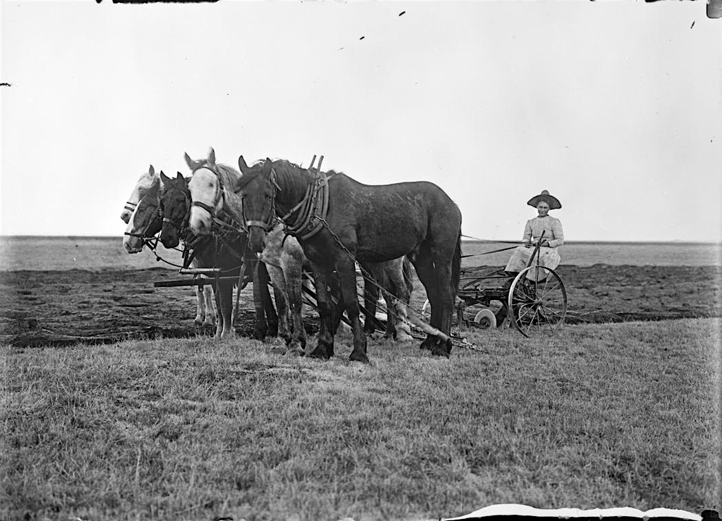 Adelia Wells: Female Homesteader in Aurora – Aurora, CO