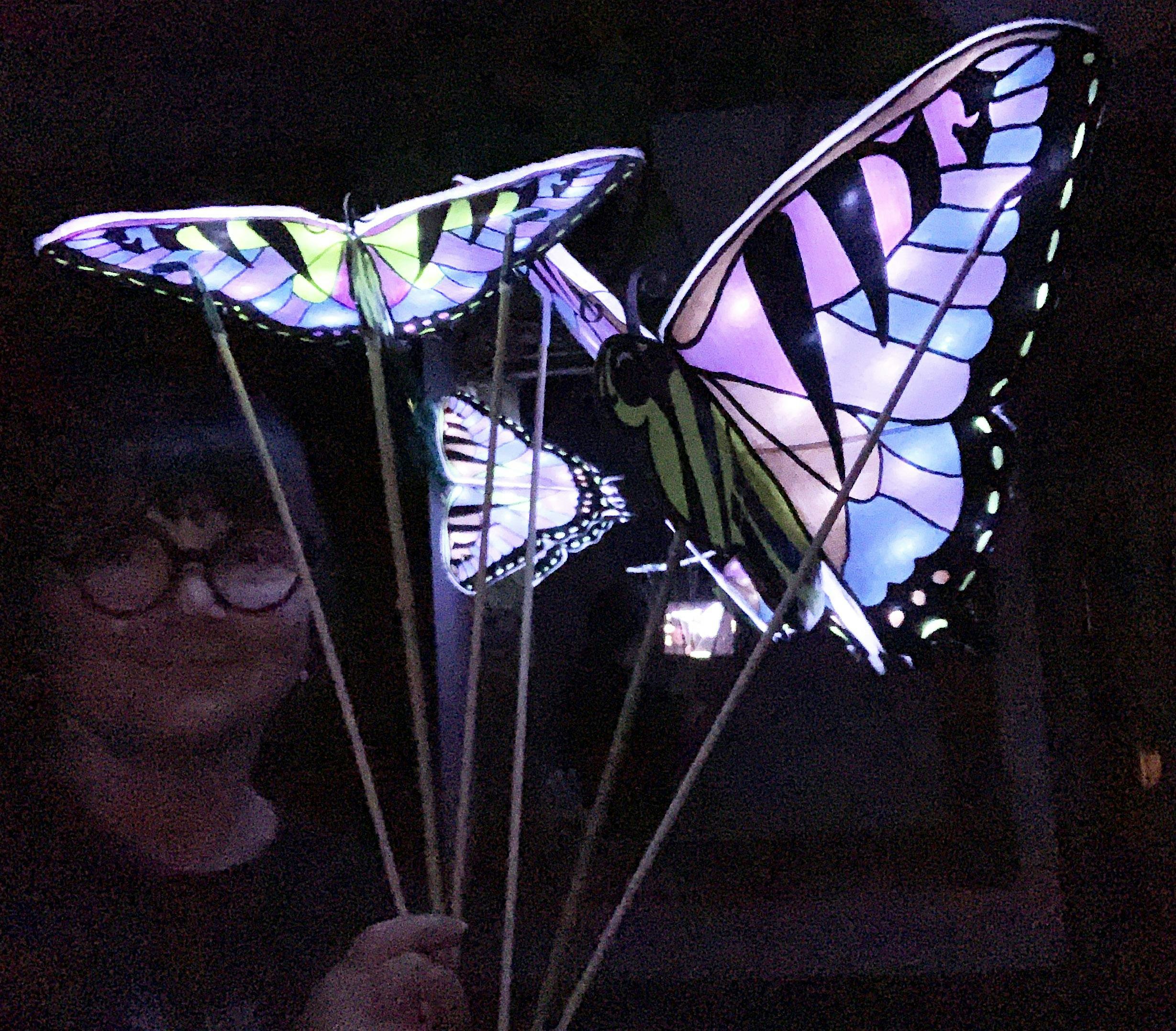 Adults-Only Butterfly Lantern Puppet Workshop! – Hapeville, GA