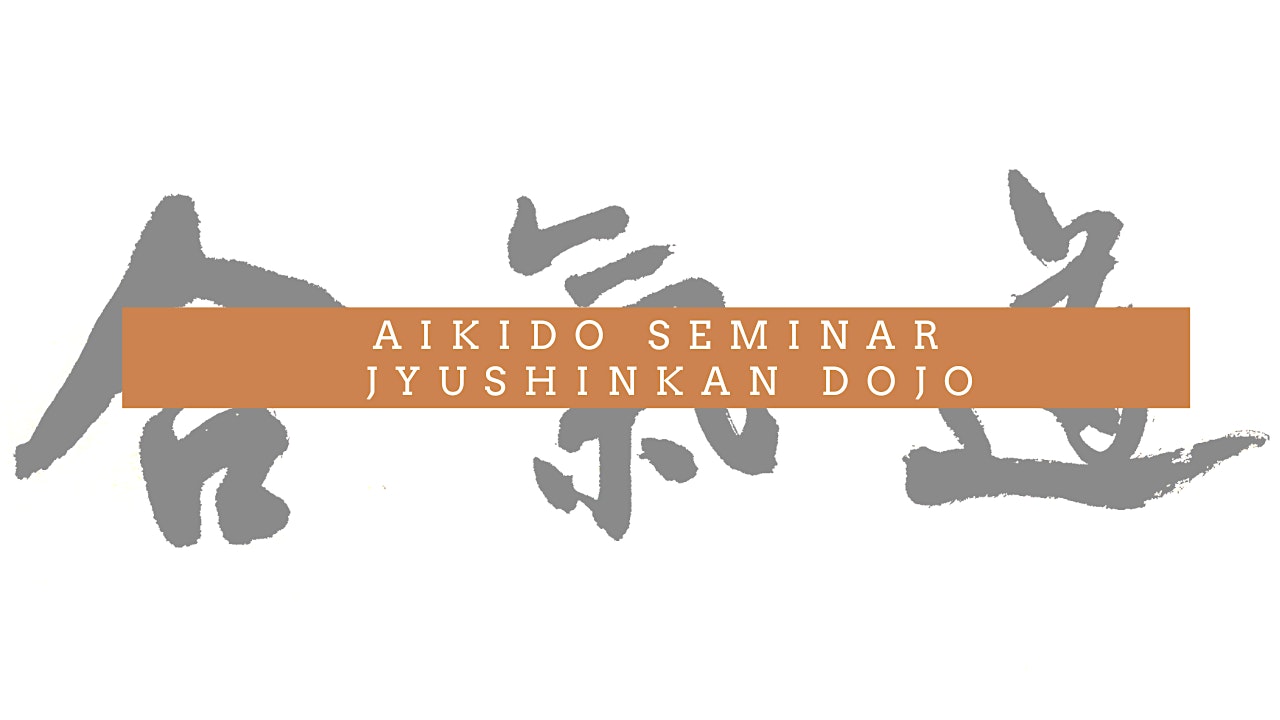 Aikido Seminar with Brandon Nimz Sensei – Logan, UT