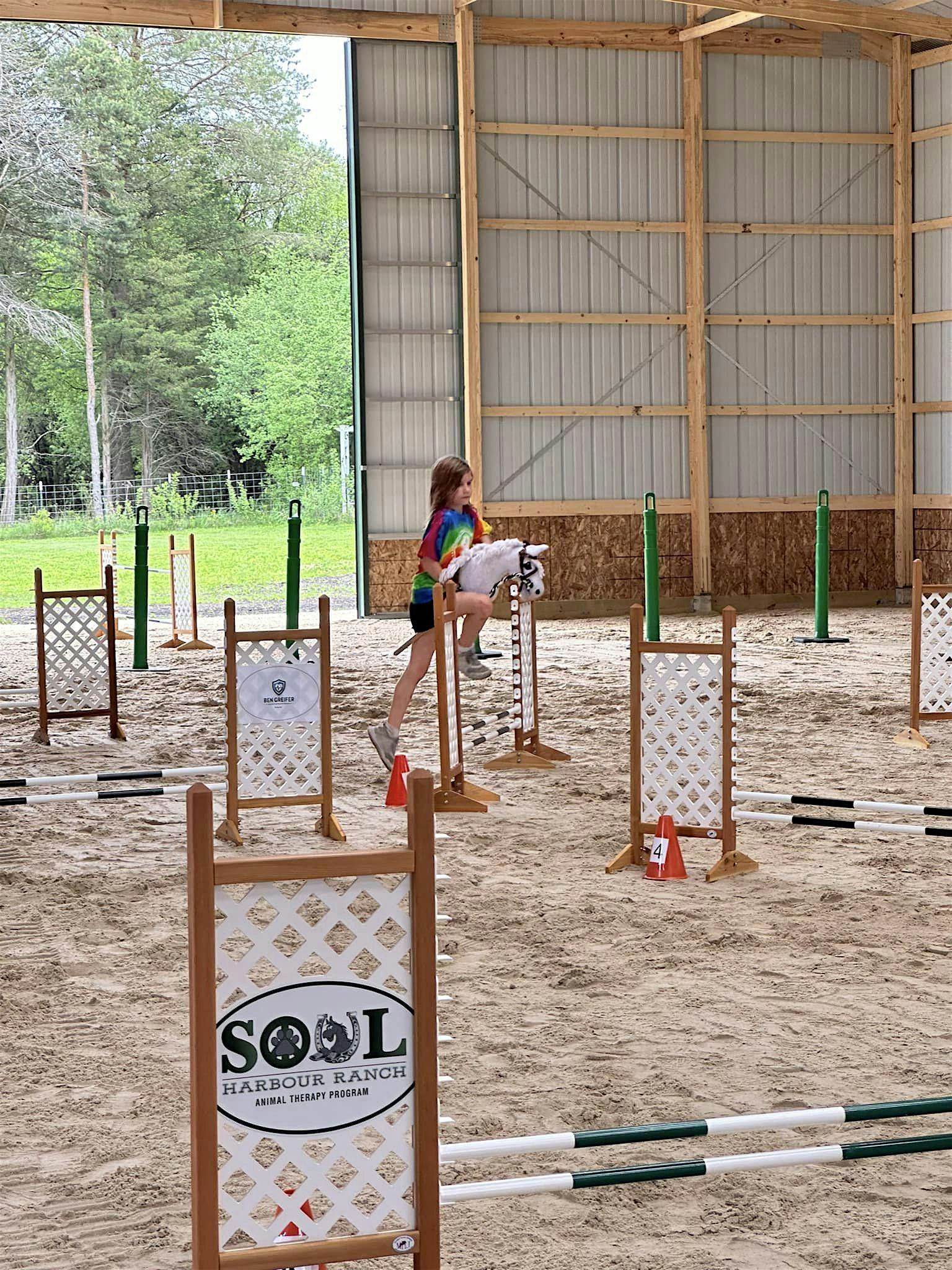 2025 Hobby Horse Spring Showcase at SOUL Harbour Ranch – Barrington, IL