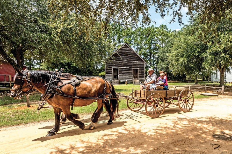 Book your Alabama: Dothan-Eufaula Area Multi-Attraction Pass experience today. Discover upcoming events, exciting activities, tours, places to eat, places to stay, and fun things to do in Dothan, Alabama with PartyFixx.co.