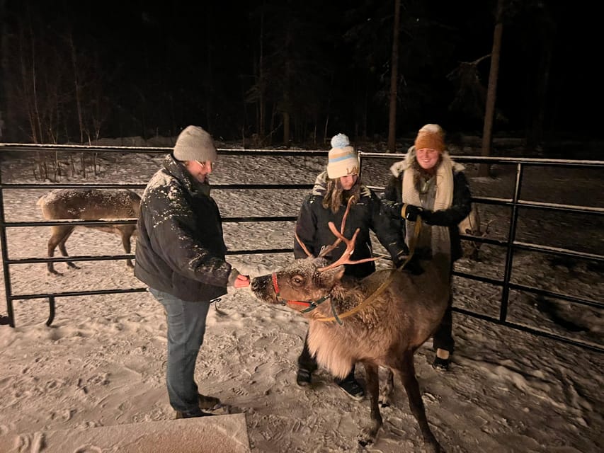 Book your Alaskan Fireside Cookout with Reindeer experience today. Discover upcoming events, exciting activities, tours, places to eat, places to stay, and fun things to do in Talkeetna, Alaska with PartyFixx.co.