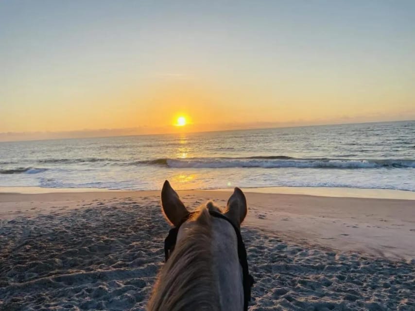 Book your Amelia Island: Good Morning & Evening Horseback Rides experience today. Discover upcoming events, exciting activities, tours, places to eat, places to stay, and fun things to do in Fernandina Beach, Florida with PartyFixx.co.