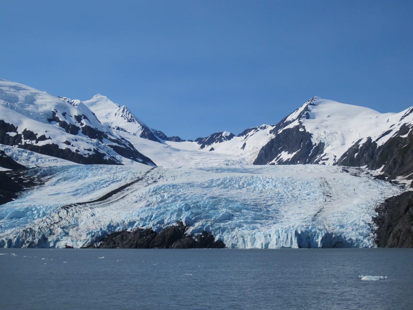 Book your Anchorage: Glacier and Wildlife Explorer Cruise experience today. Discover upcoming events, exciting activities, tours, places to eat, places to stay, and fun things to do in Anchorage, Alaska with PartyFixx.co.