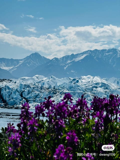 Book your Anchorage: Matanuska Glacier Hike with Transfers experience today. Discover upcoming events, exciting activities, tours, places to eat, places to stay, and fun things to do in Anchorage, Alaska with PartyFixx.co.