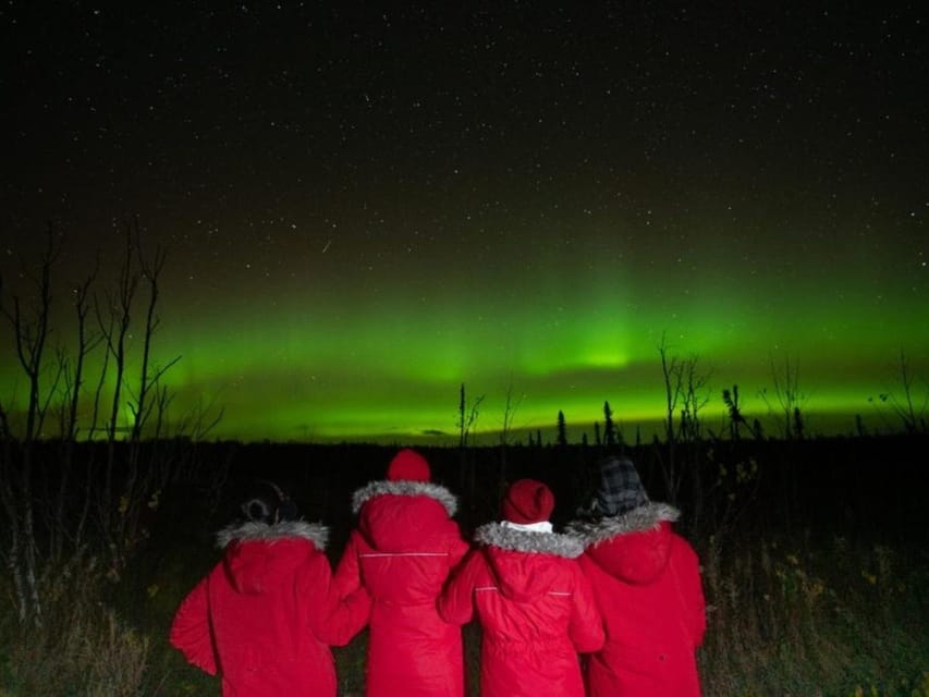 Book your Anchorage: Nighttime Northern Lights Tour experience today. Discover upcoming events, exciting activities, tours, places to eat, places to stay, and fun things to do in Anchorage, Alaska with PartyFixx.co.