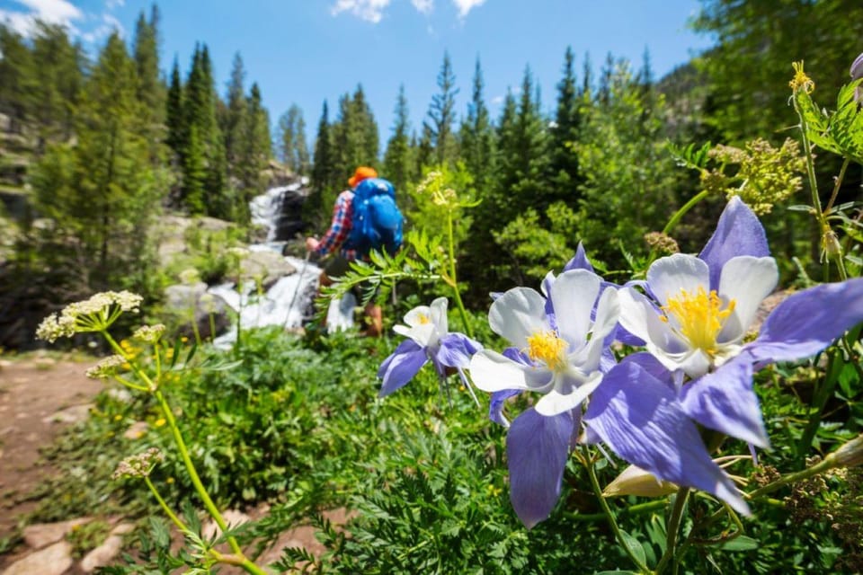 Book your Breckenridge, CO: Half-Day Guided Scenic Hike experience today. Discover upcoming events, exciting activities, tours, places to eat, places to stay, and fun things to do in Breckenridge, Colorado with PartyFixx.co.