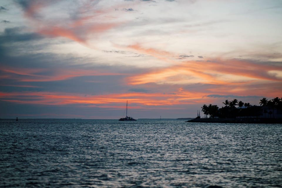 Book your Captain's Choice: Dolphin Watch Sunset Sail experience today. Discover upcoming events, exciting activities, tours, places to eat, places to stay, and fun things to do in Key West, Florida with PartyFixx.co.