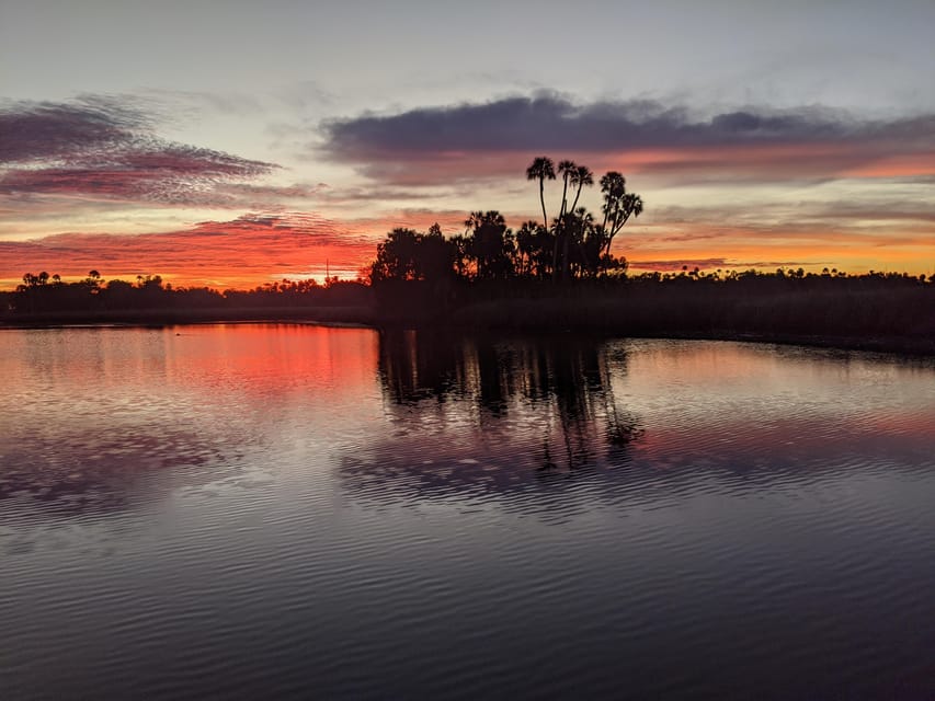 Book your Crystal River Sunset Cruise experience today. Discover upcoming events, exciting activities, tours, places to eat, places to stay, and fun things to do in Crystal River, Florida with PartyFixx.co.