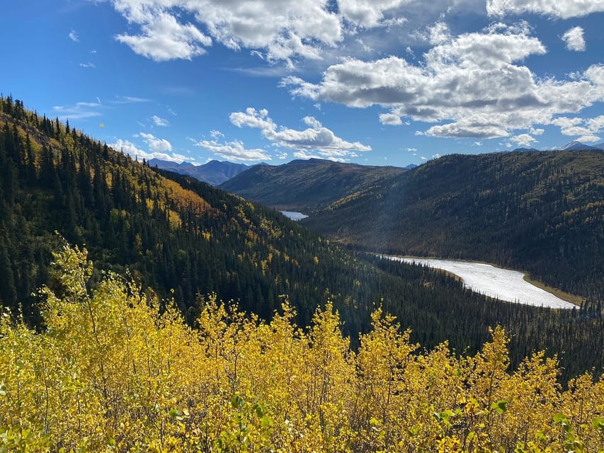 Book your Denali: 5-Hour Guided Wilderness Hiking Tour experience today. Discover upcoming events, exciting activities, tours, places to eat, places to stay, and fun things to do in Alaska, Alaska with PartyFixx.co.