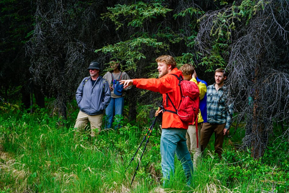 Book your Denali: Naturalist Walking Tour in Denali National Park experience today. Discover upcoming events, exciting activities, tours, places to eat, places to stay, and fun things to do in Alaska, Alaska with PartyFixx.co.