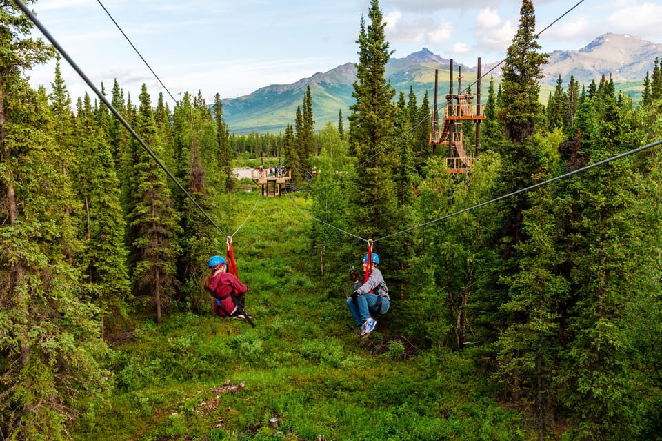 Book your Denali Park Zipline Adventure experience today. Discover upcoming events, exciting activities, tours, places to eat, places to stay, and fun things to do in Denali National Park and Preserve, Alaska with PartyFixx.co.