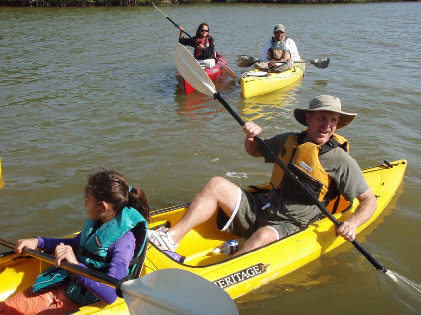 Book your Everglades National Park 3-Hour Kayak Eco Tour experience today. Discover upcoming events, exciting activities, tours, places to eat, places to stay, and fun things to do in Everglades City, Florida with PartyFixx.co.