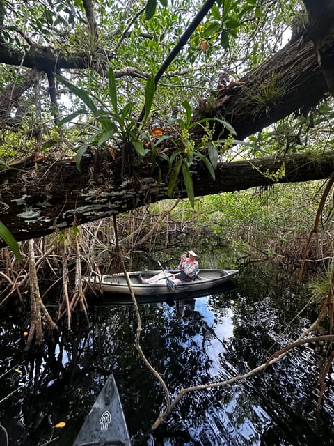 Book your Everglades: Private Kayak Tour with Guide experience today. Discover upcoming events, exciting activities, tours, places to eat, places to stay, and fun things to do in Copeland, Florida, Florida with PartyFixx.co.