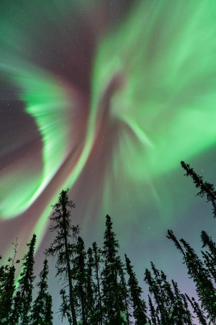 Book your Fairbanks: Aurora Borealis Northern Lights Tour experience today. Discover upcoming events, exciting activities, tours, places to eat, places to stay, and fun things to do in Fairbanks, Alaska with PartyFixx.co.