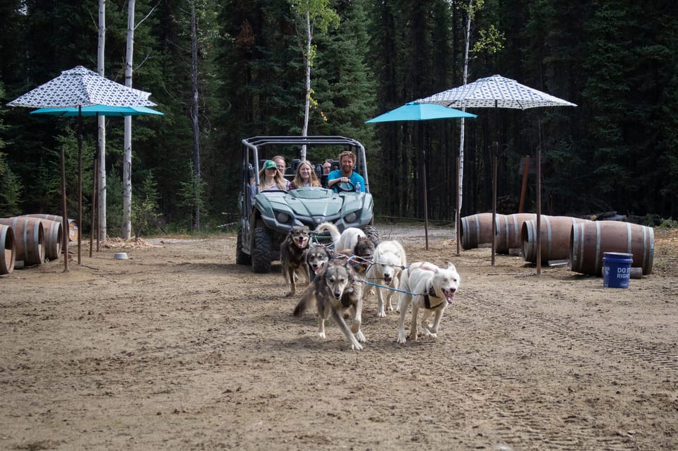 Book your Fairbanks: Summer Mushing Cart Ride and Kennel Tour experience today. Discover upcoming events, exciting activities, tours, places to eat, places to stay, and fun things to do in Fairbanks, Alaska with PartyFixx.co.