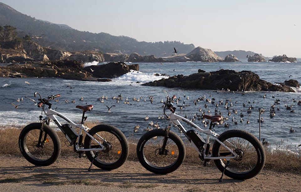 Book your "Family Friendly" Scenic E-Bike Tour along 17 Mile Dr experience today. Discover upcoming events, exciting activities, tours, places to eat, places to stay, and fun things to do in California, California with PartyFixx.co.