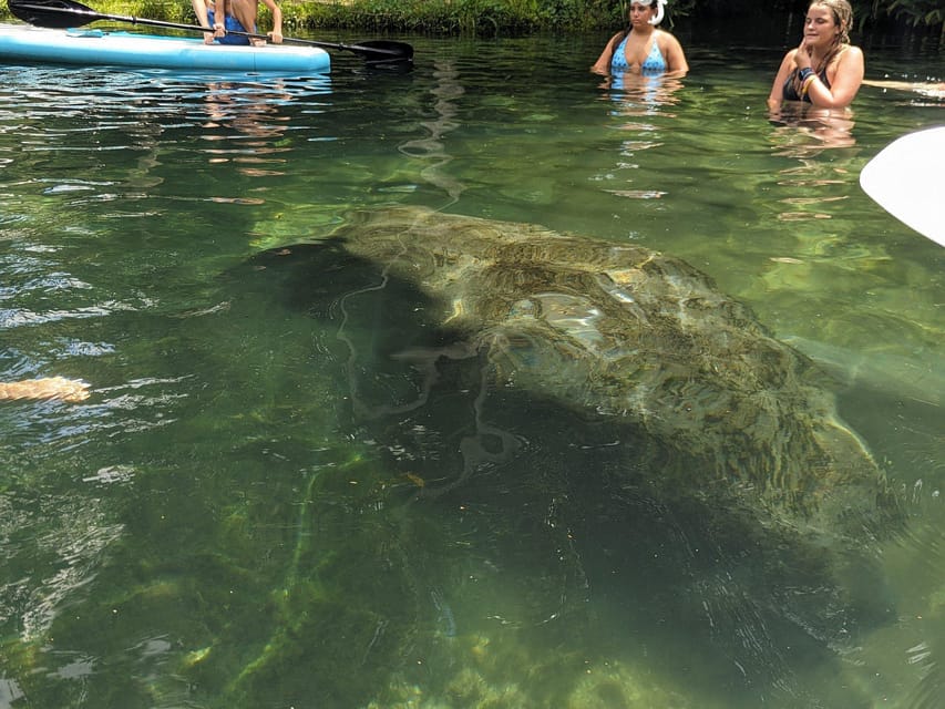 Book your Fast and More 60 minute Airboat Tour on the Homosassa River experience today. Discover upcoming events, exciting activities, tours, places to eat, places to stay, and fun things to do in Homosassa, Florida with PartyFixx.co.