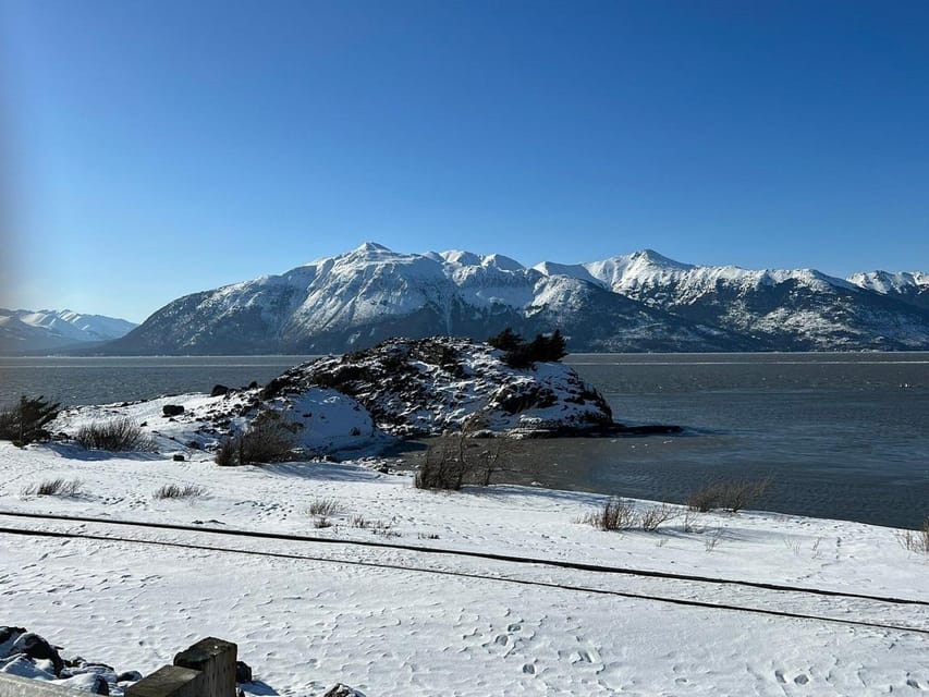 Book your From Anchorage: Alaska Wildlife Center & Turnagain Arm Tour experience today. Discover upcoming events, exciting activities, tours, places to eat, places to stay, and fun things to do in Anchorage, Alaska with PartyFixx.co.