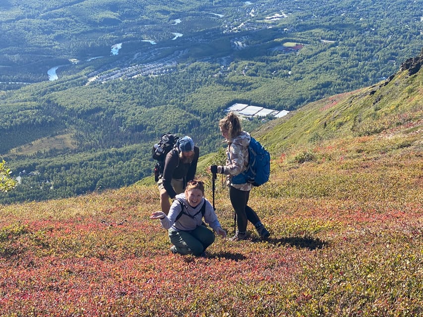 Book your From Anchorage: Chugach State Park Guided Alpine Trek experience today. Discover upcoming events, exciting activities, tours, places to eat, places to stay, and fun things to do in Alaska, Alaska with PartyFixx.co.