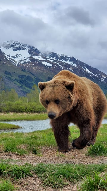 Book your From Anchorage: Wilderness, Wildlife, & Glacier Experience experience today. Discover upcoming events, exciting activities, tours, places to eat, places to stay, and fun things to do in Anchorage, Alaska with PartyFixx.co.