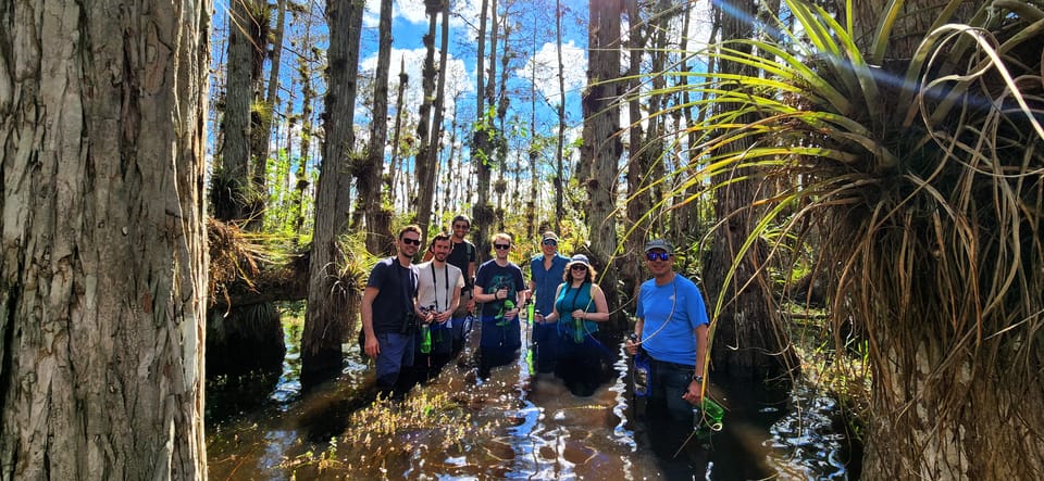 Book your From Miami: Everglades Tour w/ Wet Walk, Boat Trips, & Lunch experience today. Discover upcoming events, exciting activities, tours, places to eat, places to stay, and fun things to do in Big Cypress National Preserve, Florida with PartyFixx.co.