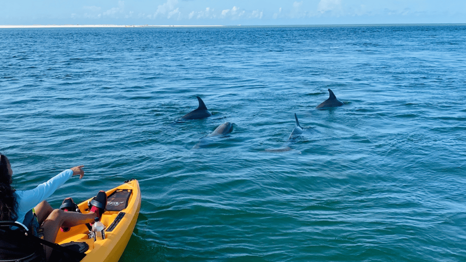 Book your From Naples, FL: Marco Island Mangroves Kayak or Paddle Tour experience today. Discover upcoming events, exciting activities, tours, places to eat, places to stay, and fun things to do in Naples, Florida with PartyFixx.co.