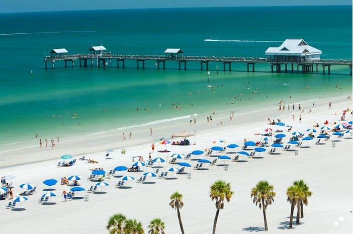 Book your From Orlando: Clearwater Beach and Marine Aquarium Admission experience today. Discover upcoming events, exciting activities, tours, places to eat, places to stay, and fun things to do in Clearwater, Florida with PartyFixx.co.