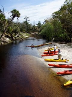 Book your From Orlando: Kayaking the Econlockhatchee River with Lunch experience today. Discover upcoming events, exciting activities, tours, places to eat, places to stay, and fun things to do in Orlando, Florida with PartyFixx.co.