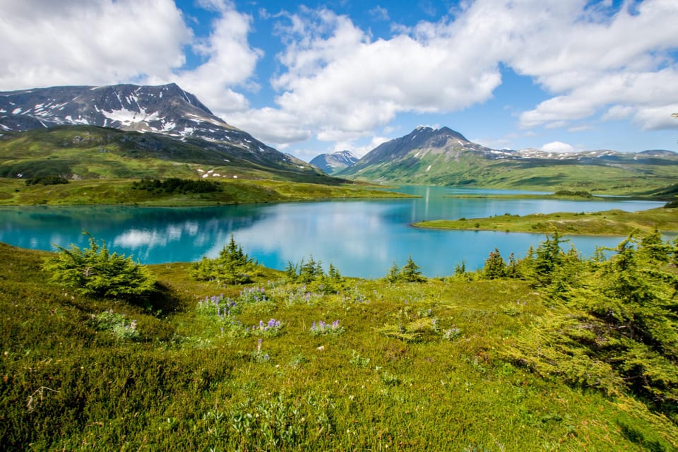 Book your From Seward: Hidden Trail on Seward Hike experience today. Discover upcoming events, exciting activities, tours, places to eat, places to stay, and fun things to do in Alaska, Alaska with PartyFixx.co.