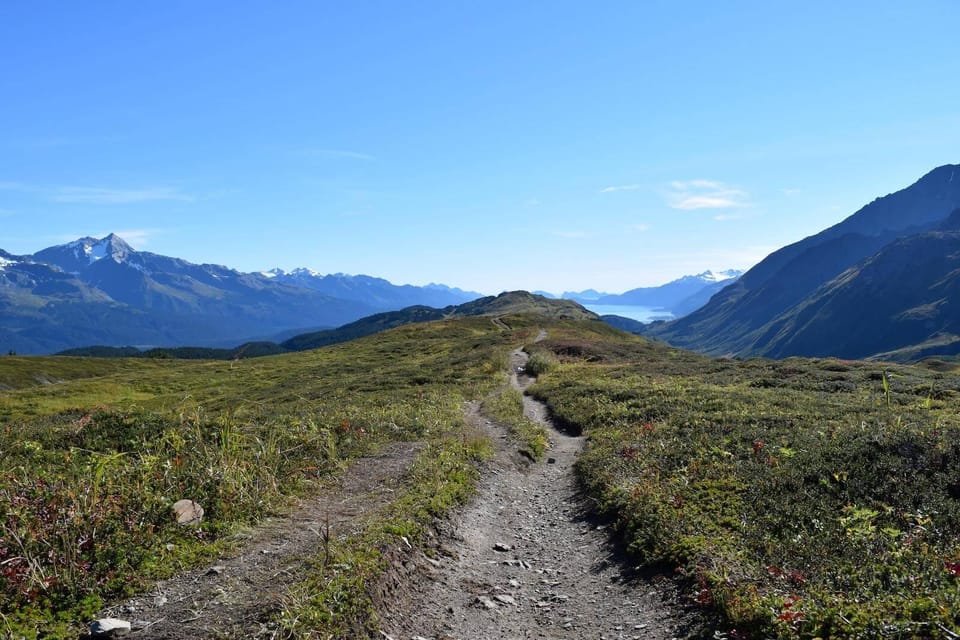 Book your From Seward: Lost Lake Trail Hiking experience today. Discover upcoming events, exciting activities, tours, places to eat, places to stay, and fun things to do in Alaska, Alaska with PartyFixx.co.