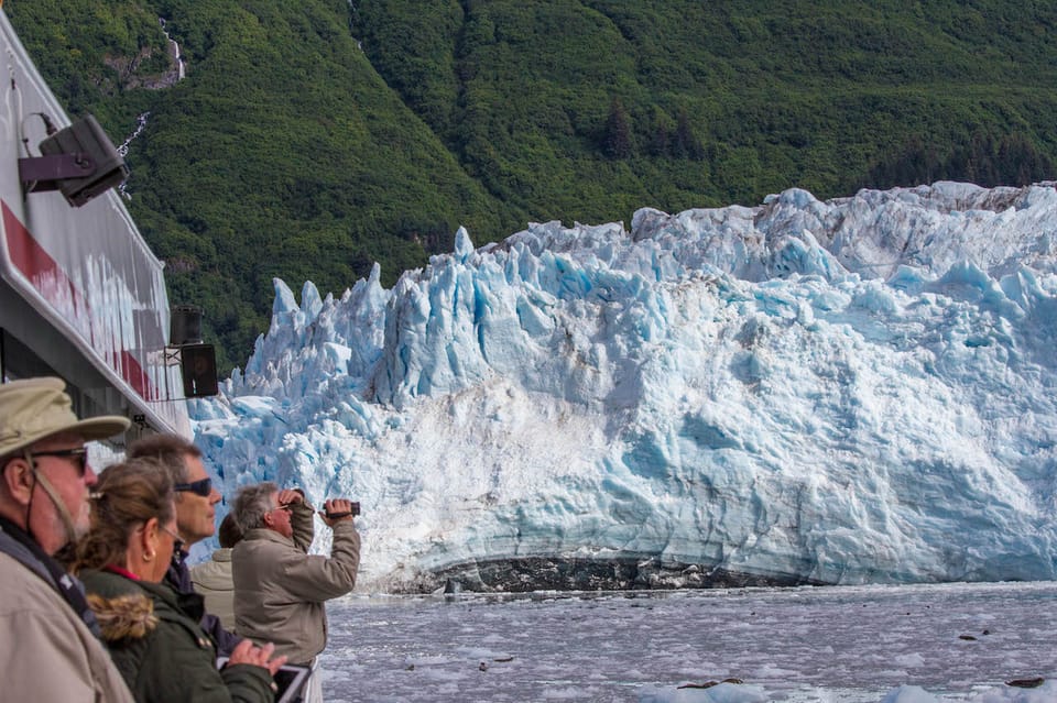 Book your From Valdez: 7.5-hour Meares Glacier & Wildlife Cruise experience today. Discover upcoming events, exciting activities, tours, places to eat, places to stay, and fun things to do in Alaska, Alaska with PartyFixx.co.