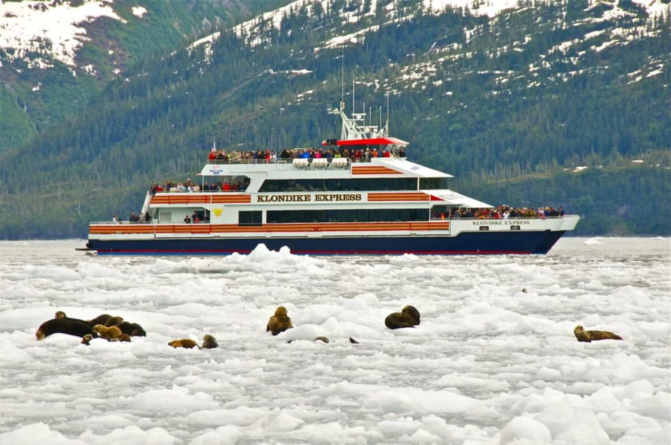 Book your From Whittier/Anchorage: Prince William Sound Glacier Cruise experience today. Discover upcoming events, exciting activities, tours, places to eat, places to stay, and fun things to do in Alaska, Alaska with PartyFixx.co.