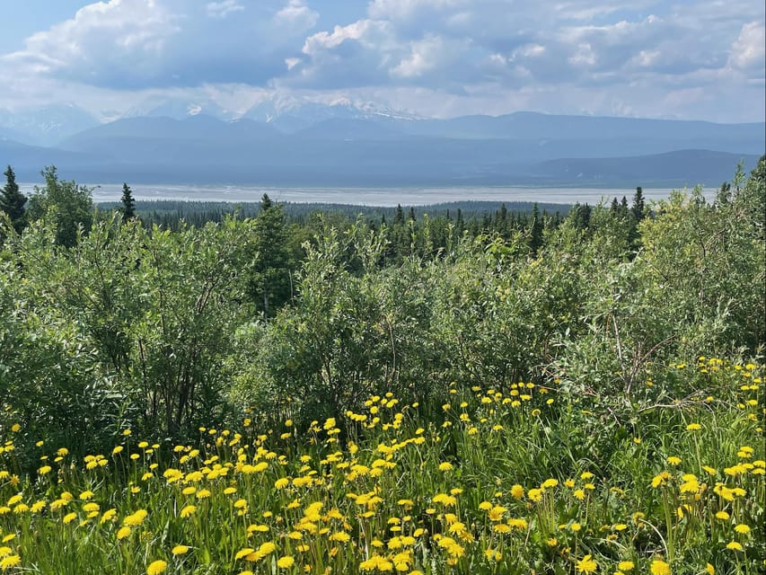 Book your Glacial Lake, Waterfall and rainforest. Beauty of Turnagain! experience today. Discover upcoming events, exciting activities, tours, places to eat, places to stay, and fun things to do in Anchorage, Alaska with PartyFixx.co.