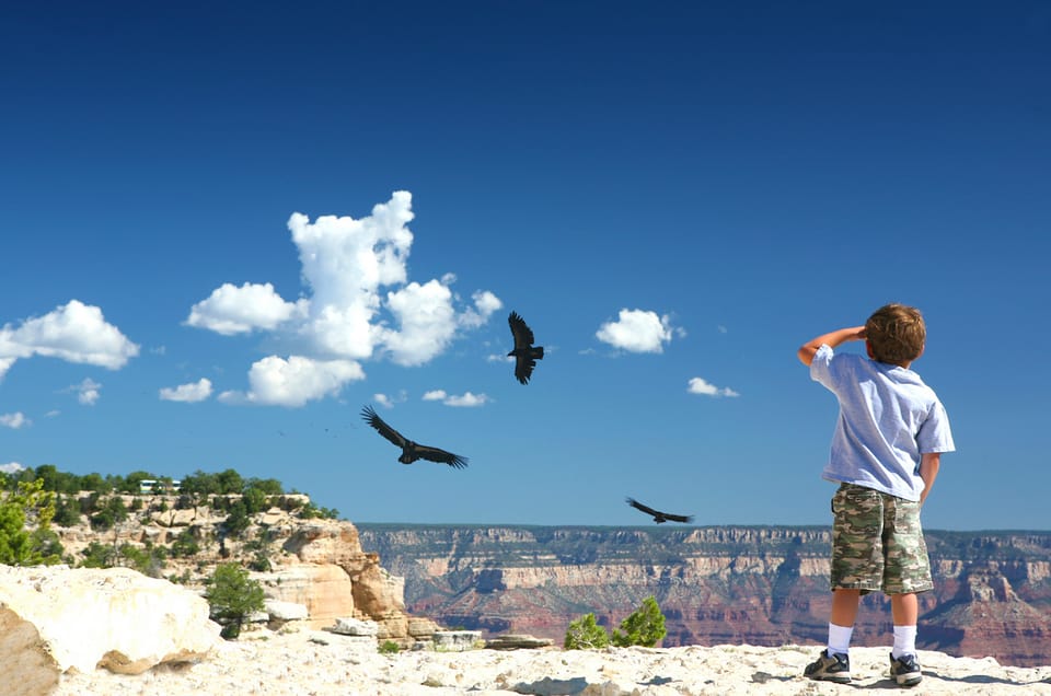 Book your Grand Canyon: Morning Off-Road Safari with Skip the Gate experience today. Discover upcoming events, exciting activities, tours, places to eat, places to stay, and fun things to do in Grand Canyon Village, Arizona with PartyFixx.co.