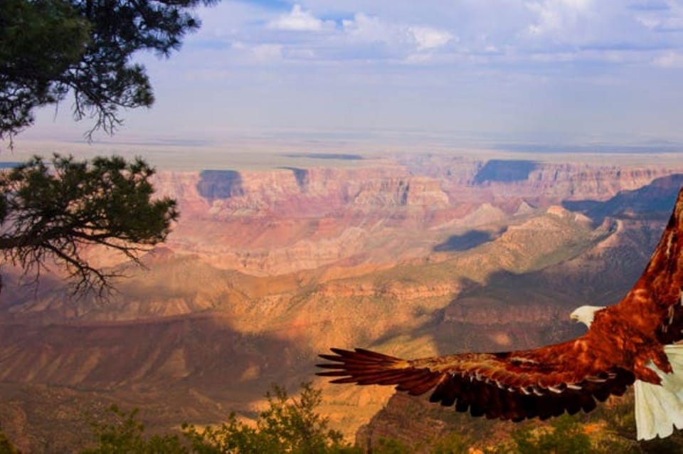 Book your Grand Canyon West: 1-Day Entrance Ticket experience today. Discover upcoming events, exciting activities, tours, places to eat, places to stay, and fun things to do in Grand Canyon West Rim, Arizona with PartyFixx.co.