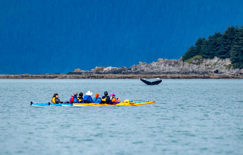 Book your Juneau: Channel Islands Whale Watching Kayak Adventure experience today. Discover upcoming events, exciting activities, tours, places to eat, places to stay, and fun things to do in Juneau, Alaska with PartyFixx.co.