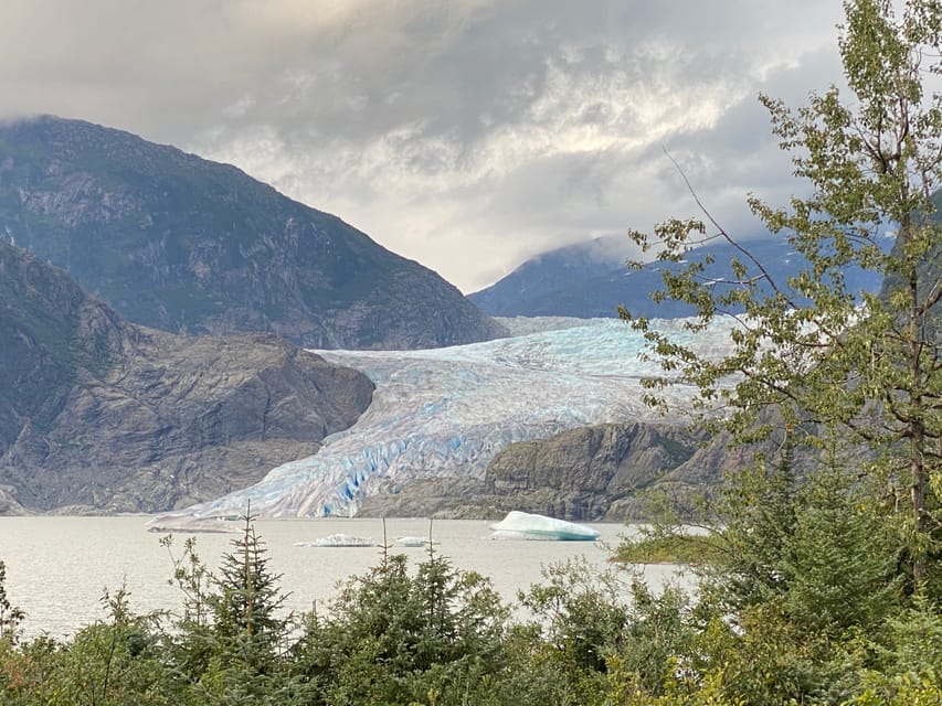 Book your Juneau: Mendenhall Glacier and Whale Watching Tour experience today. Discover upcoming events, exciting activities, tours, places to eat, places to stay, and fun things to do in Juneau, Alaska with PartyFixx.co.