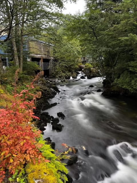 Book your Ketchikan Photo Safari experience today. Discover upcoming events, exciting activities, tours, places to eat, places to stay, and fun things to do in Ketchikan, Alaska with PartyFixx.co.