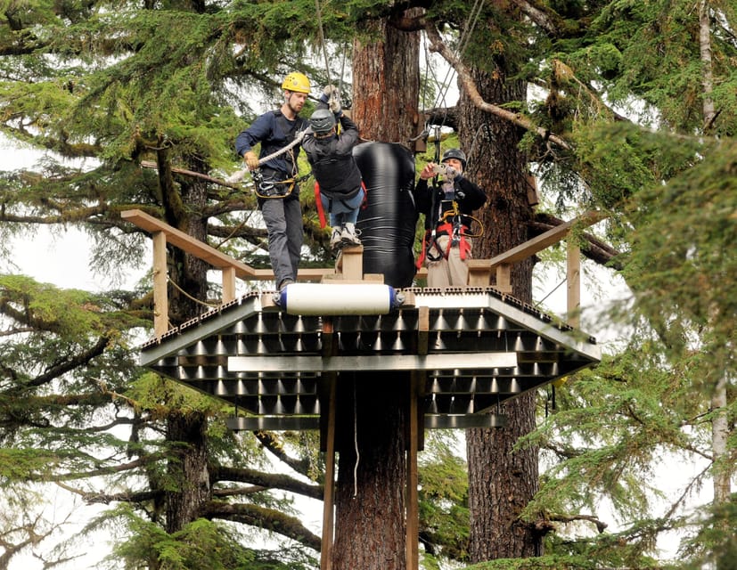 Book your Ketchikan: Rainforest Canopy & Zipline Adventure experience today. Discover upcoming events, exciting activities, tours, places to eat, places to stay, and fun things to do in Ketchikan, Alaska with PartyFixx.co.