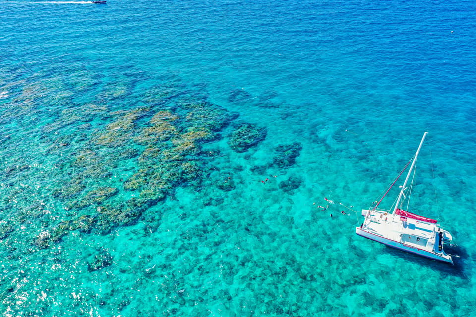 Book your Key West: 3-Hour Afternoon Reef Snorkel with Drinks experience today. Discover upcoming events, exciting activities, tours, places to eat, places to stay, and fun things to do in Key West, Florida with PartyFixx.co.