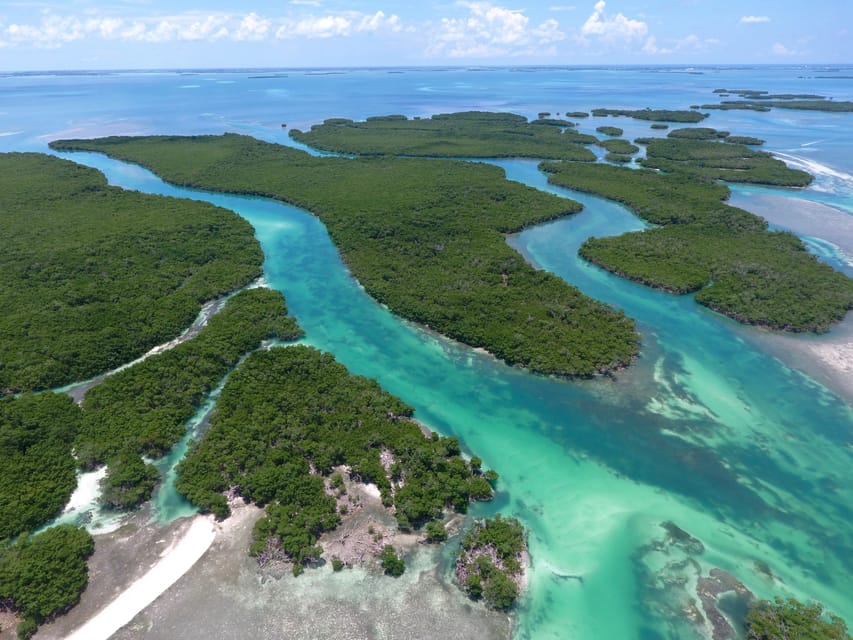 Book your Key West: Eco Safari Sandbar Tour with Snorkeling experience today. Discover upcoming events, exciting activities, tours, places to eat, places to stay, and fun things to do in Key West, Florida with PartyFixx.co.