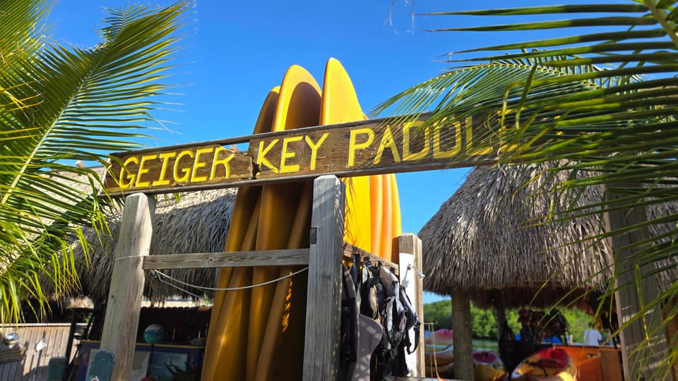 Book your Key West: Mangrove Kayak or SUP Eco Tour experience today. Discover upcoming events, exciting activities, tours, places to eat, places to stay, and fun things to do in Key West, Florida with PartyFixx.co.