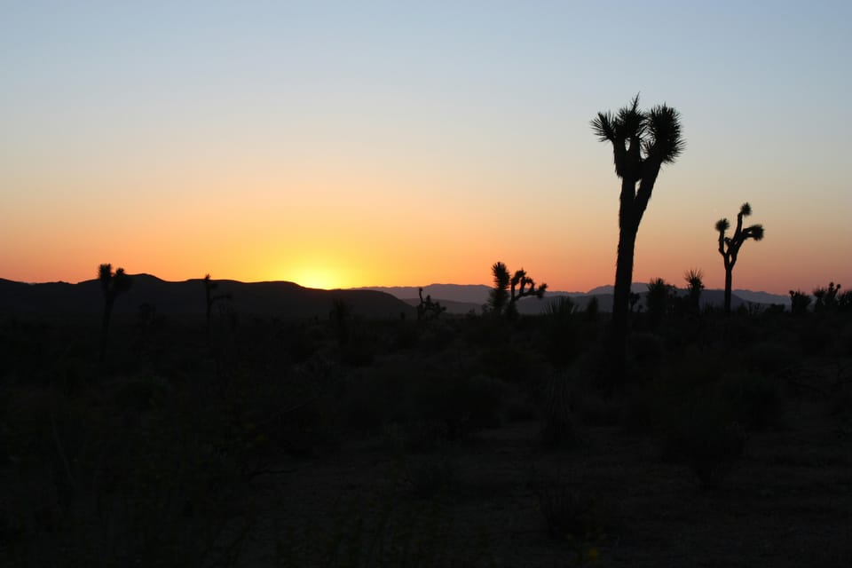 Book your Las Vegas: Death Valley Sunset and Stargazing Tour experience today. Discover upcoming events, exciting activities, tours, places to eat, places to stay, and fun things to do in California, California with PartyFixx.co.