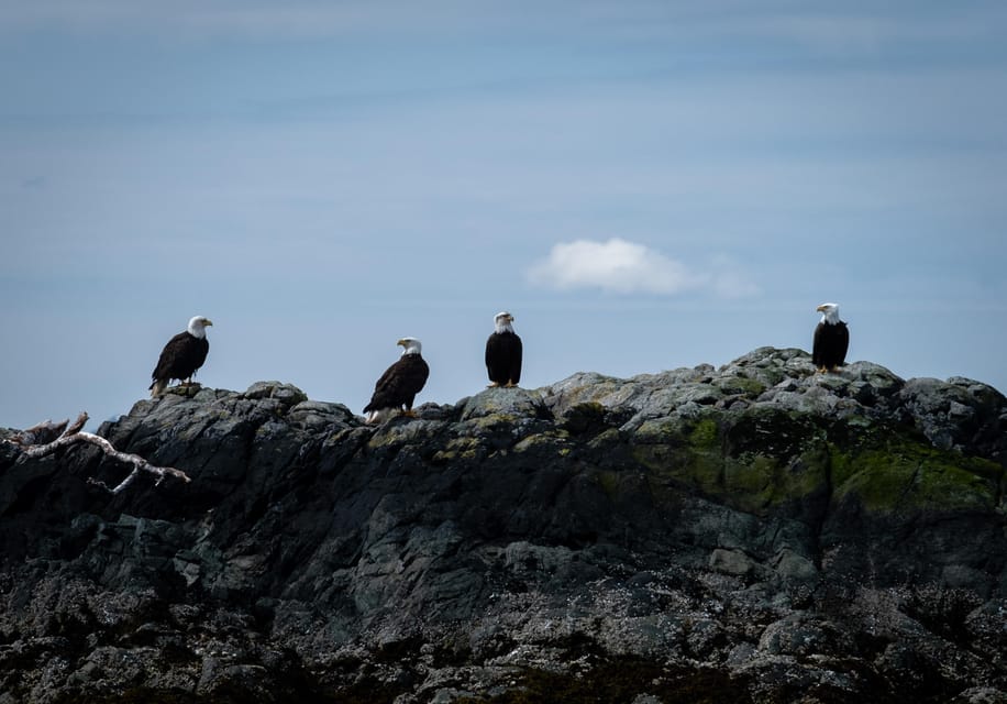 Book your Lighthouse, Totems & Eagles Excursion experience today. Discover upcoming events, exciting activities, tours, places to eat, places to stay, and fun things to do in Alaska, Alaska with PartyFixx.co.