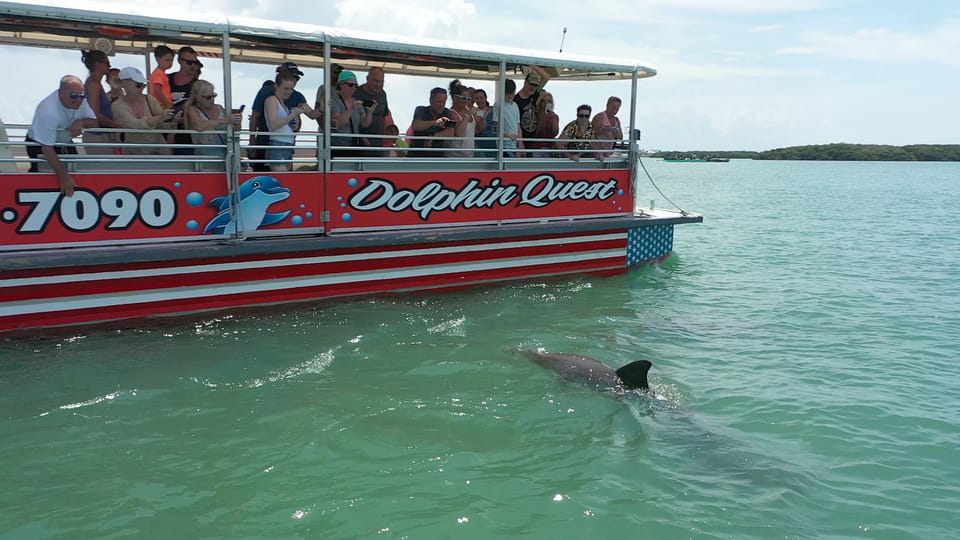 Book your Madeira Beach: Guided Dolphin Watching Eco-Friendly Cruise experience today. Discover upcoming events, exciting activities, tours, places to eat, places to stay, and fun things to do in Boca Ciega Bay, Florida, Florida with PartyFixx.co.