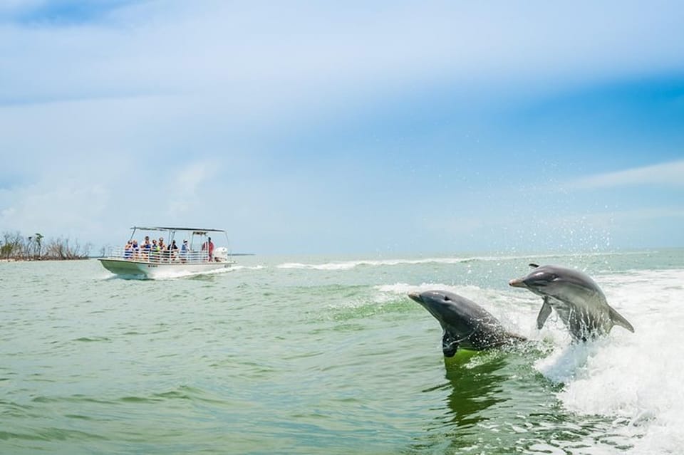 Book your Marco Island: Dolphin-Watching Boat Tour experience today. Discover upcoming events, exciting activities, tours, places to eat, places to stay, and fun things to do in Goodland, Florida, Florida with PartyFixx.co.