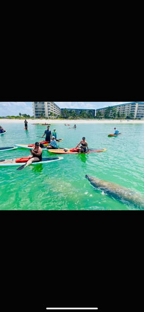 Book your Marco Island: Guided Manatee-Watching Kayaking or SUP Tour experience today. Discover upcoming events, exciting activities, tours, places to eat, places to stay, and fun things to do in , Florida with PartyFixx.co.